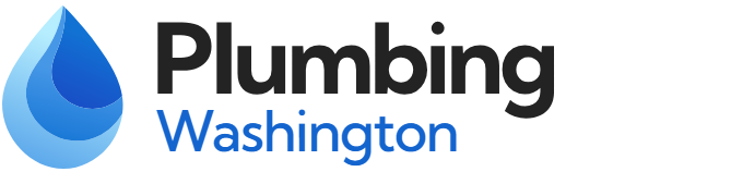 Washington Plumbing Team